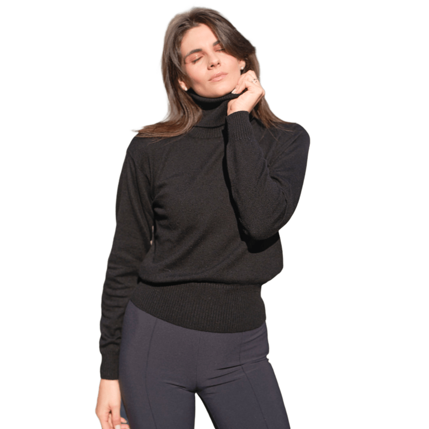 Women's Pure Cashmere High Neck Sweater