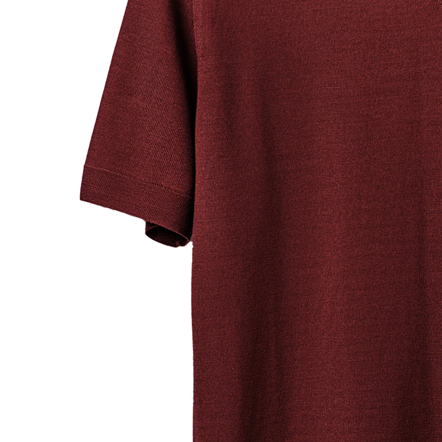 Men's Short-Sleeved Polo Shirt in Pure Extrafine Merino Wool
